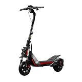 Segway-Ninebot MAX G30D II